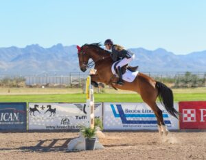découvrez l'intérêt du fouet en équitation, son rôle dans la communication avec le cheval et son utilisation responsable pour améliorer la performance et le bien-être équin.