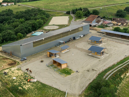 découvrez l’écurie de sévérac, alliant haies naturelles et bien-être équin grâce à l’agroforesterie pour un environnement sain et durable.