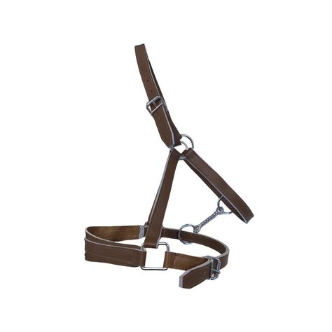 découvrez notre guide complet et nos conseils pratiques pour choisir et utiliser un licol adapté aux chevaux de trait, assurant confort et sécurité.