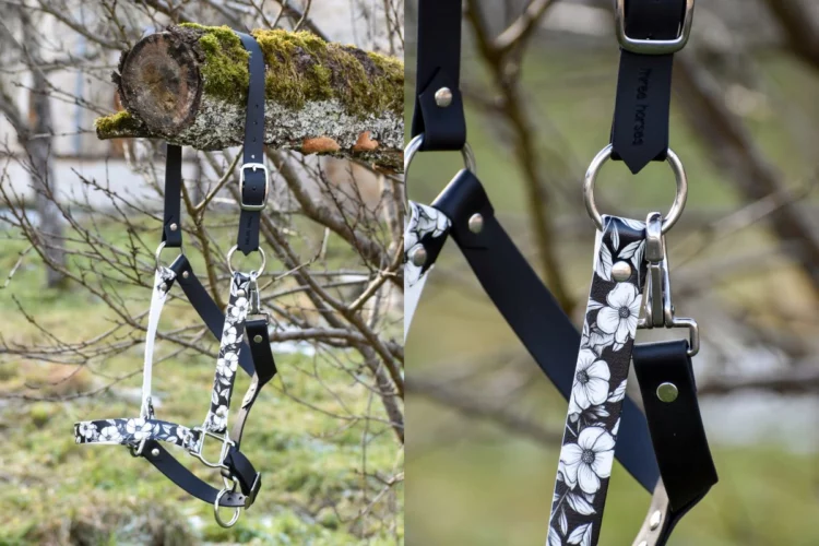 découvrez notre guide complet et conseils pratiques pour choisir, utiliser et entretenir un licol pour cheval de trait, adapté à ses besoins spécifiques.