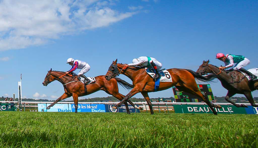 découvrez mercure hippodrome cabourg et vivez l'excitation des courses hippiques uniques dans un cadre exceptionnel. ambiance, passion et sensations garanties pour tous les amateurs de courses.