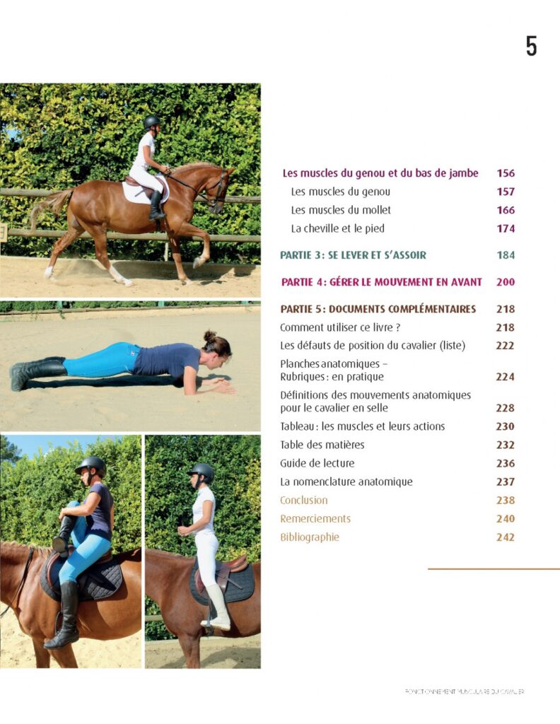 découvrez le rôle et le fonctionnement des muscles du cheval au galop 5, pour mieux comprendre cette allure dynamique et puissante.