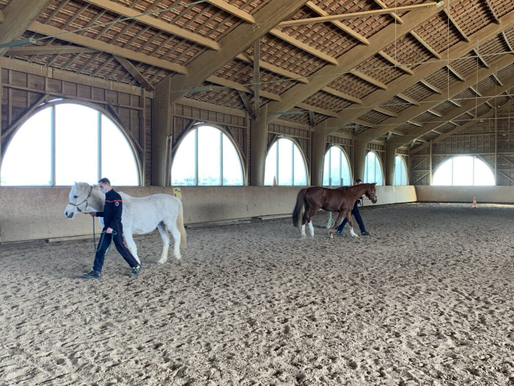 des pompiers interviennent avec courage pour sauver un cheval piégé sous la glace, illustrant un acte héroïque de sauvetage animalier.