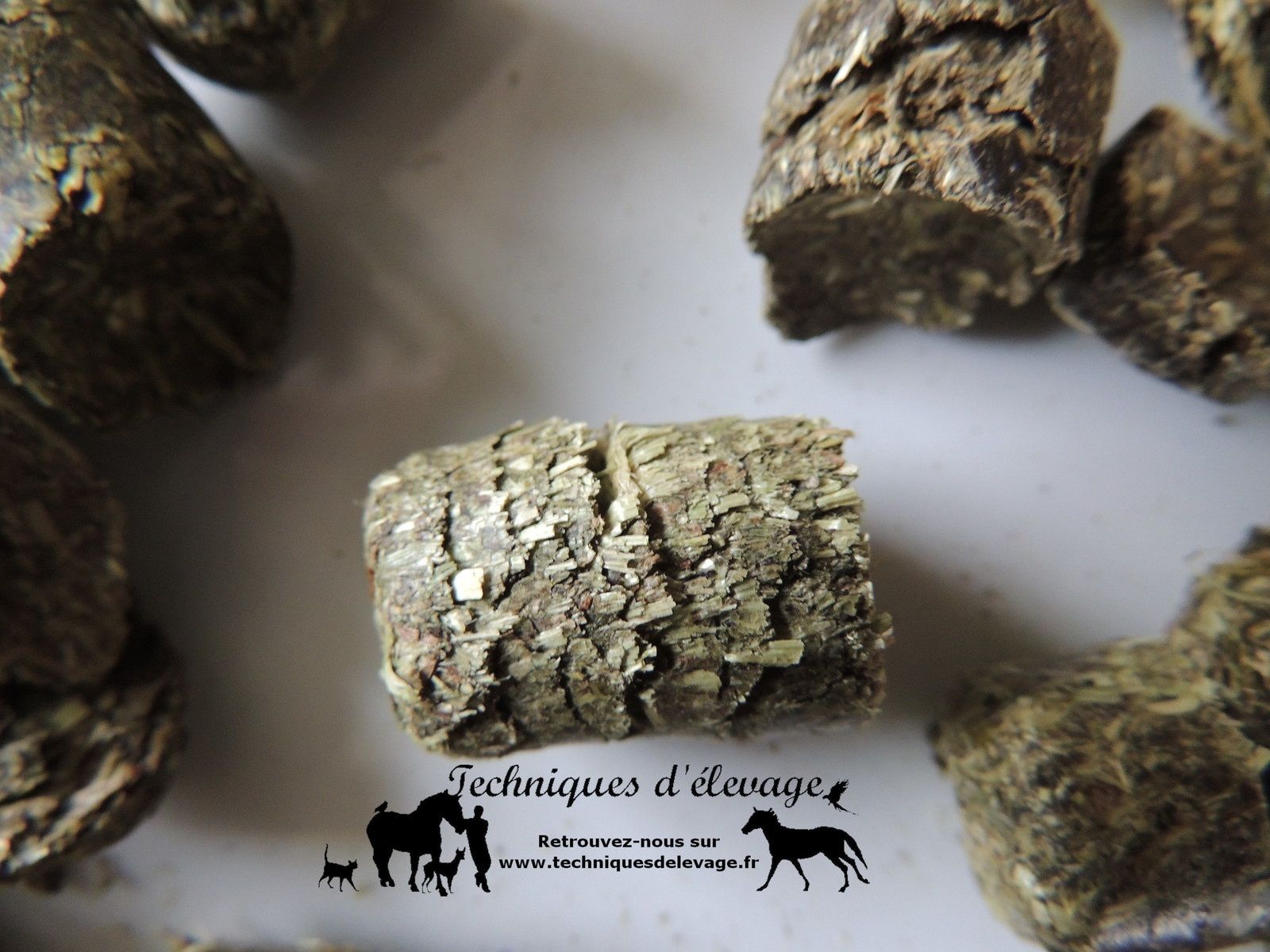 découvrez les meilleures méthodes de prévention et de traitement du bouchon de foin chez les chevaux pour assurer leur santé et leur bien-être au quotidien.