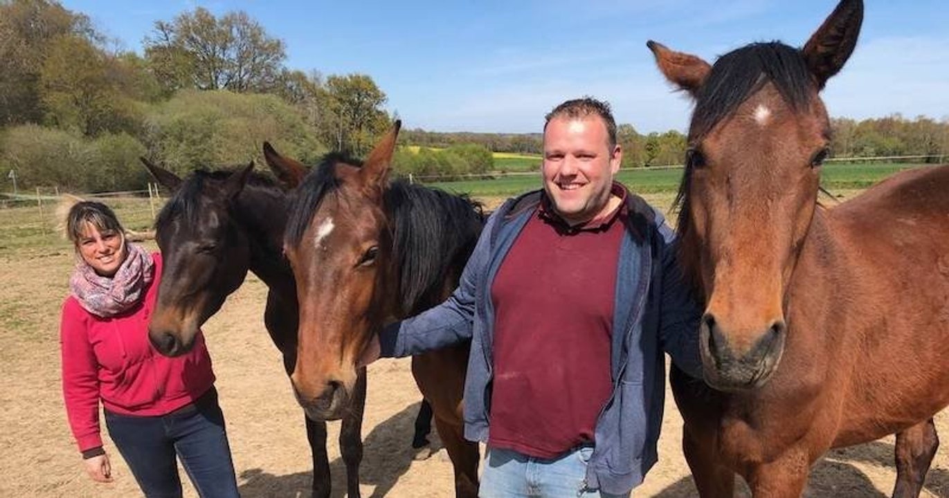 découvrez comment sauver les chevaux destinés à l'abattoir et leur offrir une seconde chance grâce à des actions de sensibilisation et de protection animale.