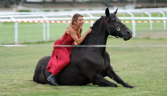 découvrez comment sauver les chevaux destinés à l'abattoir et leur offrir une seconde chance grâce à des actions de protection et de sauvetage.