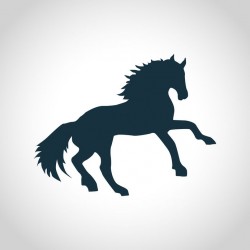 découvrez nos stickers muraux cheval élégants pour sublimer votre décoration intérieure avec style et raffinement.