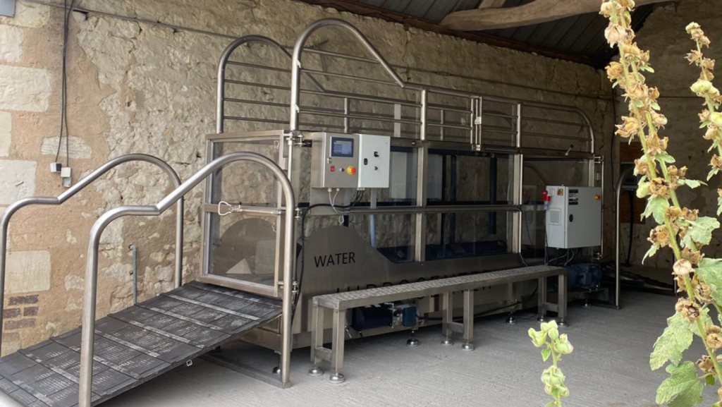 découvrez notre guide complet sur le tapis roulant pour chevaux, ses avantages et conseils d'utilisation pour améliorer la condition physique et le bien-être de votre cheval.