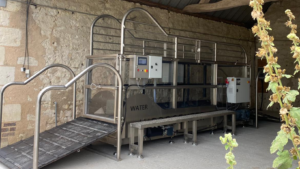 découvrez notre guide complet sur le tapis roulant pour chevaux, ses avantages et conseils d'utilisation pour améliorer la condition physique et le bien-être de votre cheval.