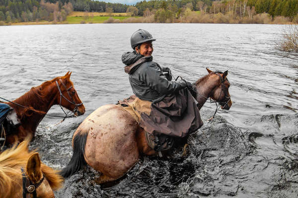 analyse des tensions et défis rencontrés lors de la cohabitation des chevaux en zones humides de la haute-loire, incluant les impacts environnementaux et les solutions possibles.