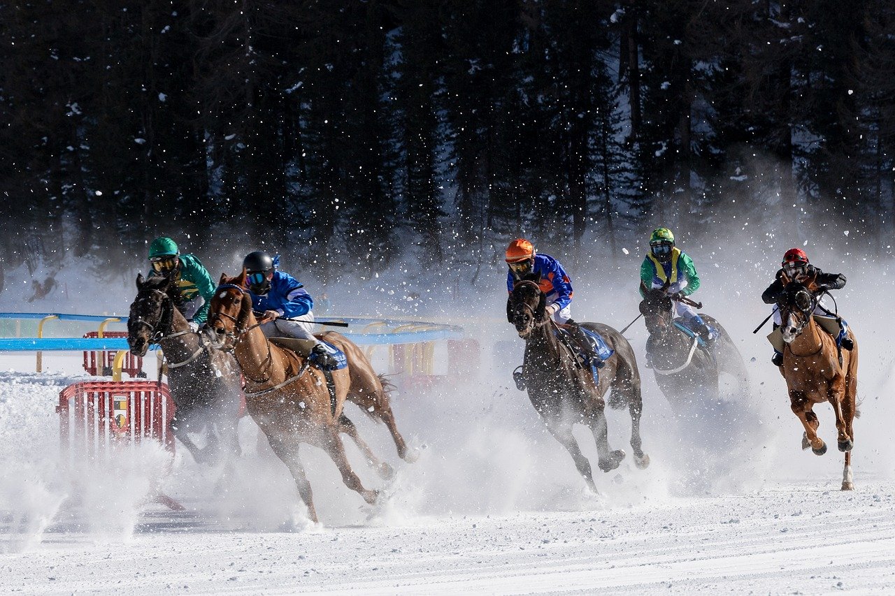 découvrez la vitesse impressionnante des chevaux de course, leurs performances et les facteurs qui influencent leur rapidité sur l'hippodrome.