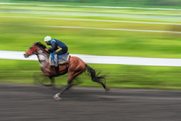 découvrez tout sur la vitesse des chevaux de course, leurs performances impressionnantes et les facteurs qui influencent leurs records.