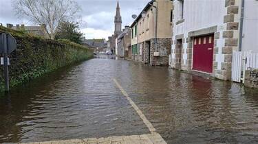 un cheval secouru avec succès après être resté enlisé dans un ruisseau, grâce à l'intervention rapide des secours.
