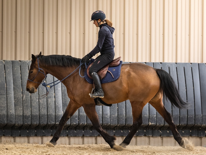 découvrez comment choisir la longe idéale pour la présentation de votre cheval, avec des conseils pratiques pour garantir confort et sécurité lors de vos séances d'entraînement.