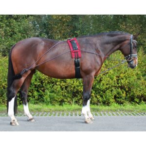 découvrez comment choisir la longe idéale pour la présentation de votre cheval, alliant sécurité, confort et esthétique pour des performances optimales.