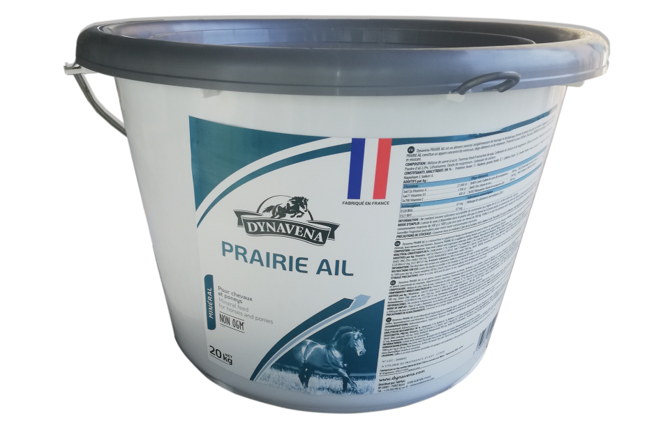 découvrez comment choisir le seau à lécher idéal pour votre cheval, afin de lui assurer un apport optimal en minéraux et favoriser sa santé au quotidien.