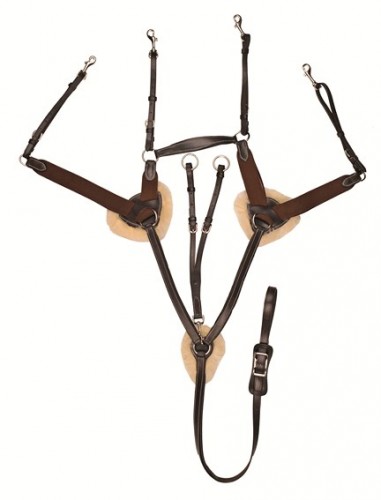 découvrez notre guide complet pour choisir le meilleur collier de chasse pour chevaux, alliant confort et performance pour vos sorties.