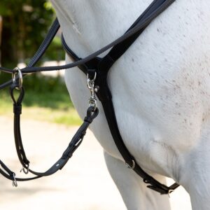 découvrez notre guide complet pour choisir le collier de chasse idéal pour vos chevaux, alliant confort, sécurité et performance.