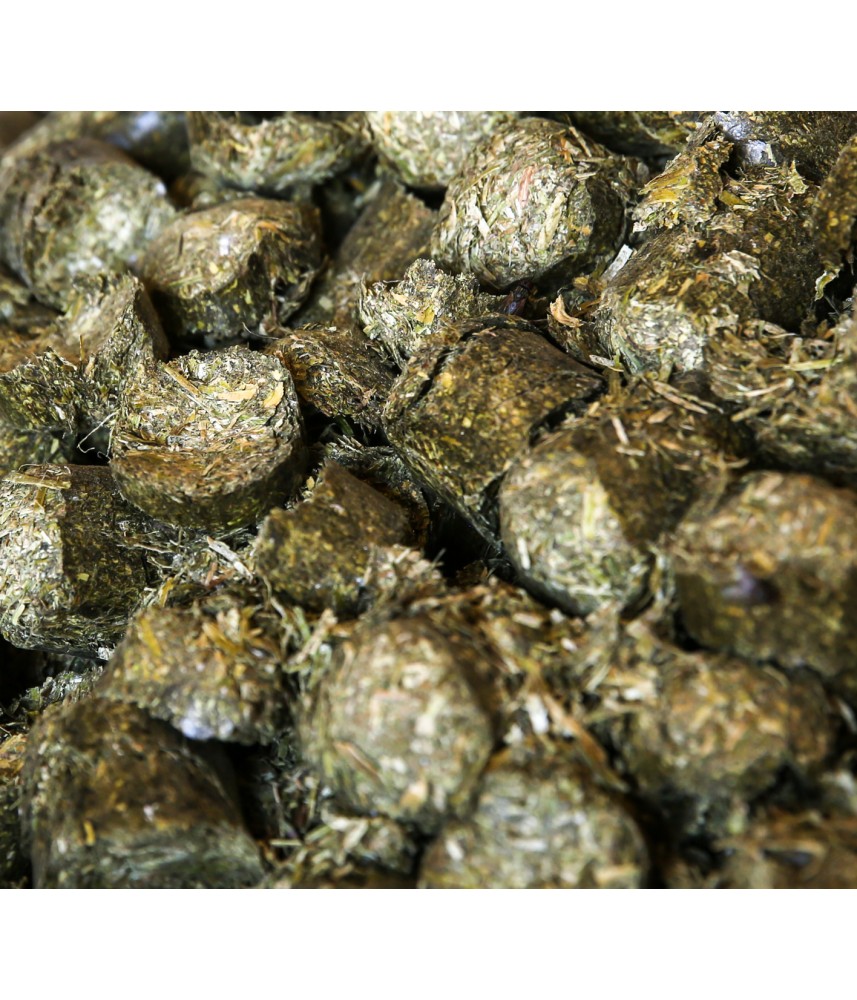 découvrez les avantages du foin dépoussiéré pour chevaux et nos conseils pour améliorer leur santé et leur confort au quotidien.