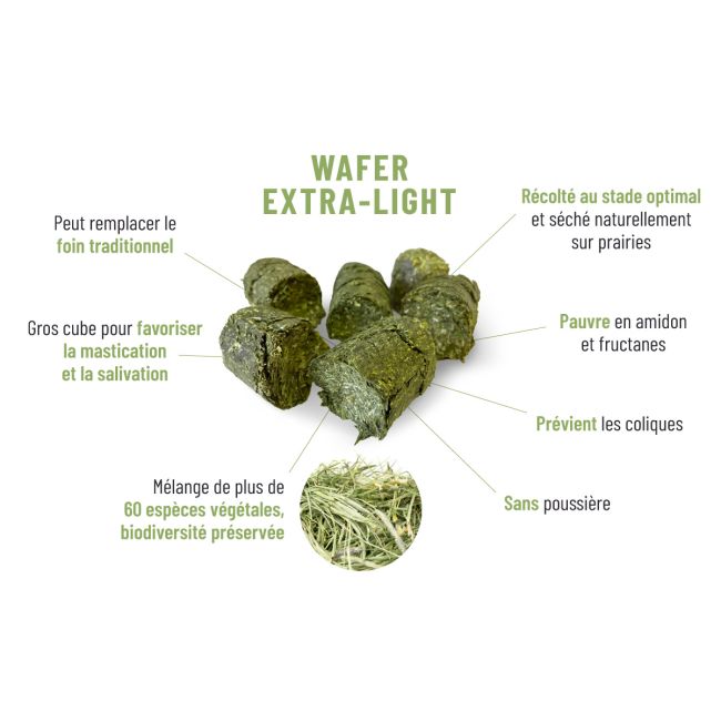 découvrez les avantages du foin dépoussiéré pour chevaux et bénéficiez de conseils pratiques pour assurer leur santé et bien-être.