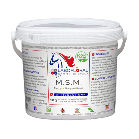 découvrez l'utilité du seau à minéraux pour chevaux, un complément essentiel pour leur santé et leur bien-être au quotidien.