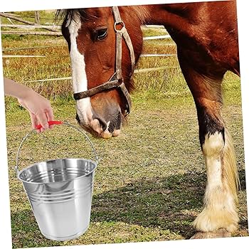 découvrez l'utilité des seaux à minéraux pour chevaux, essentiels pour leur santé et leur bien-être. compléments nutritifs adaptés et faciles à utiliser.